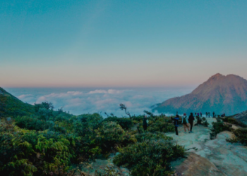 5 Conseils pour Planifier le Voyage Parfait en Côte d’Ivoire