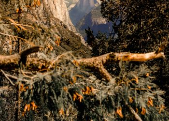 Découvrir les joyaux cachés de la Côte d’Ivoire