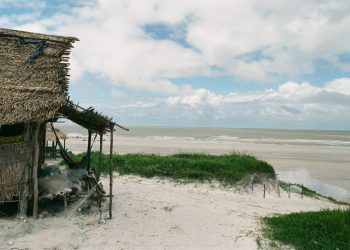 Comment Profiter au Maximum de votre Excursion en Côte d’ivoire
