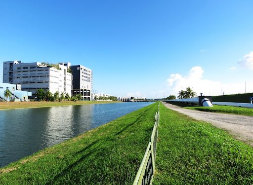 Les Nouvelles Réglementations Environnementales Poussent L’industrie Automobile Vers La Durabilité