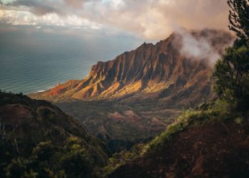 Comment Réussir votre Voyage en Côte d’Ivoire?