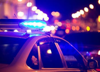 Je Suis En Train De Traduire, S’il Vous Plaît!