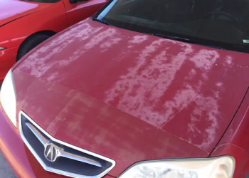 Comment Protéger la Peinture de Votre Voiture des Dommages Courants